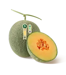 DƯA LƯỚI HỮU CƠ BIỂN NGỌC BÍCH