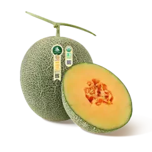 DƯA LƯỚI HỮU CƠ BIỂN NGỌC BÍCH