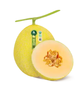 DƯA LƯỚI HỮU CƠ BIỂN KIM SA