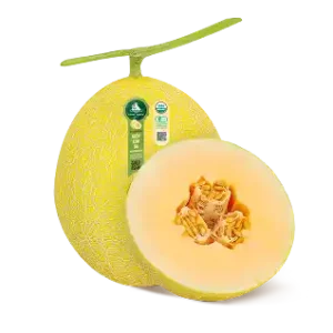 DƯA LƯỚI HỮU CƠ BIỂN KIM SA